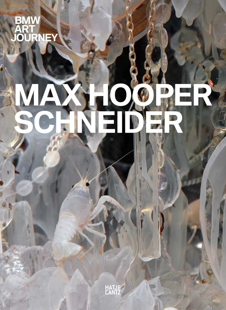 Planetary Vitrine: Max Hooper's Schneider's Art Journey