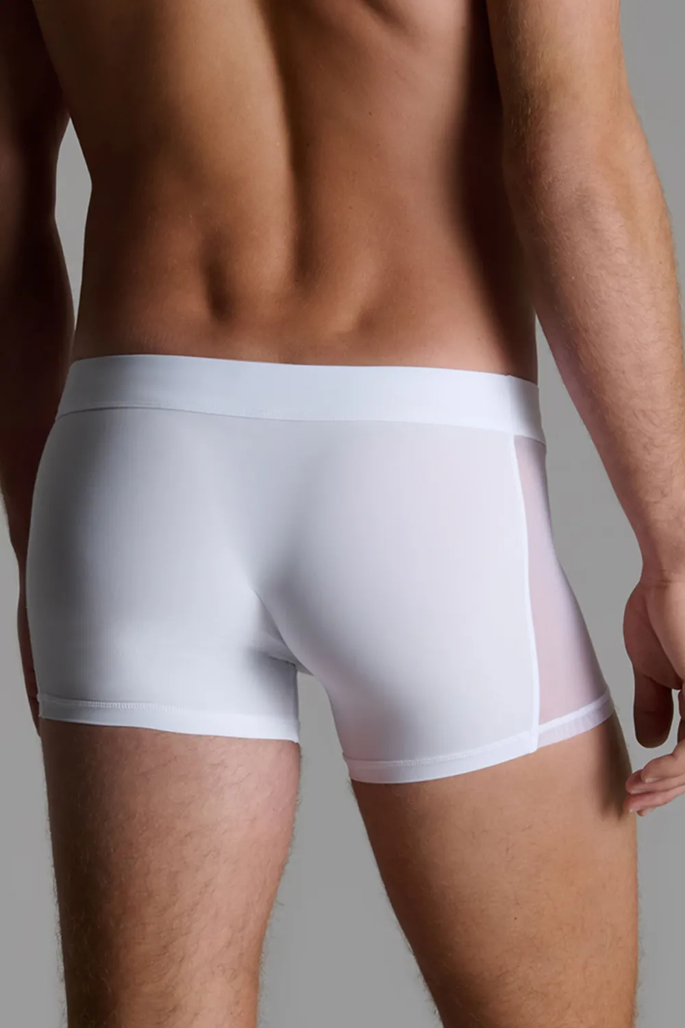 Pure Tentation Men's Boxer