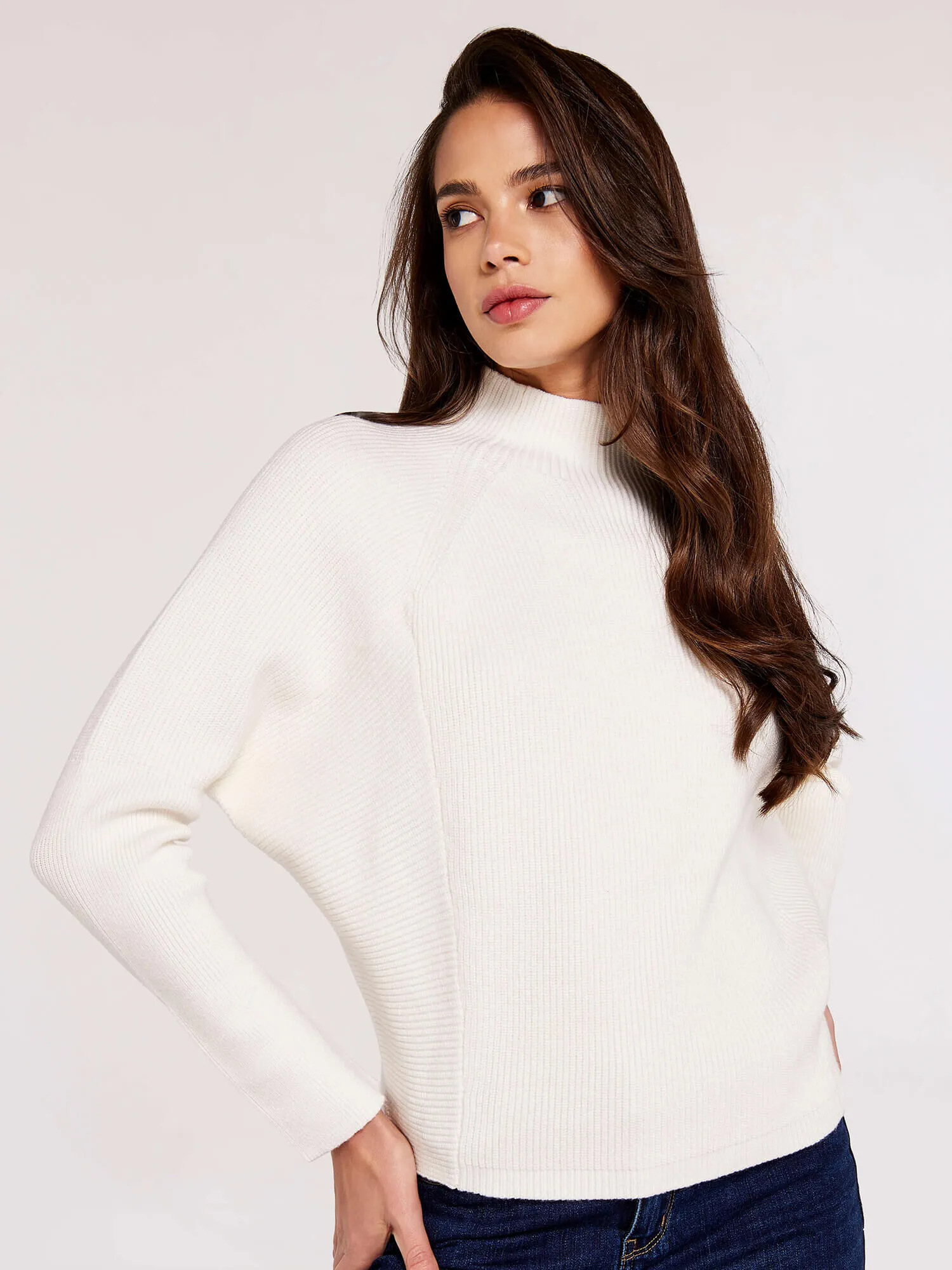 Ribbed Panel Mock Neck Jumper | Apricot Clothing