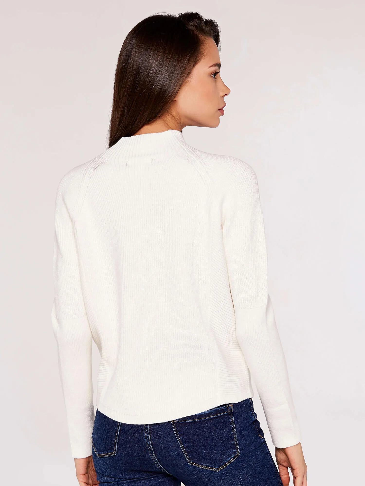 Ribbed Panel Mock Neck Jumper | Apricot Clothing